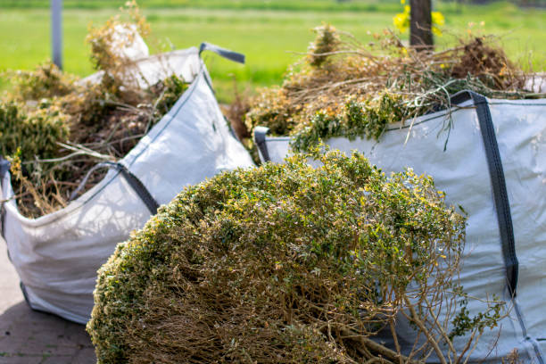 Best Furniture Removal  in Silver Firs, WA